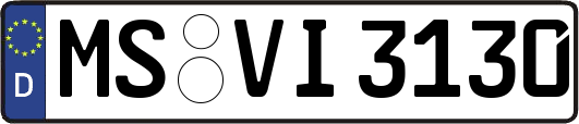 MS-VI3130