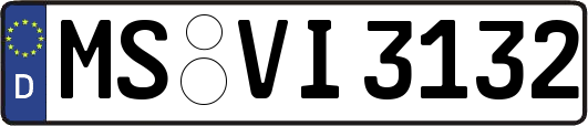 MS-VI3132
