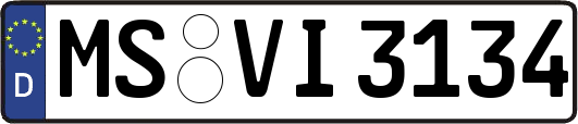 MS-VI3134