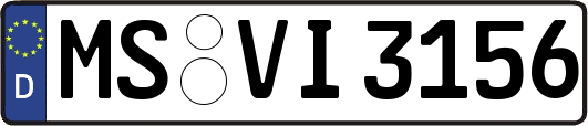 MS-VI3156