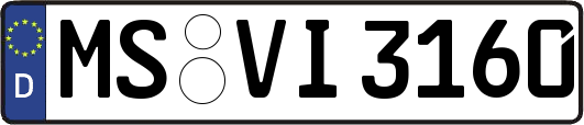 MS-VI3160