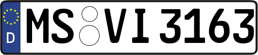 MS-VI3163