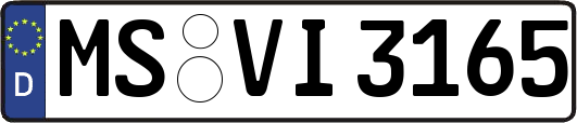 MS-VI3165