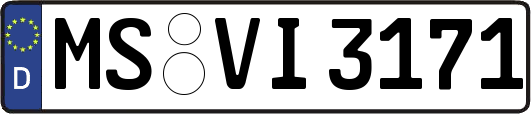 MS-VI3171