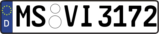 MS-VI3172