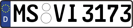 MS-VI3173