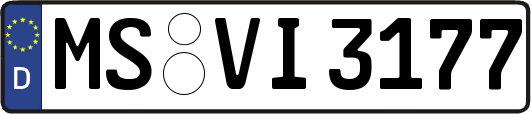 MS-VI3177