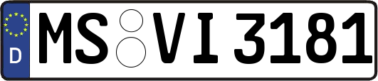 MS-VI3181