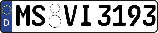 MS-VI3193