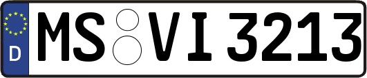 MS-VI3213