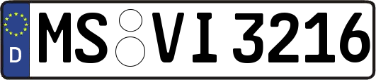 MS-VI3216