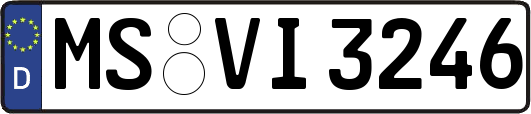MS-VI3246