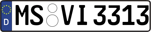 MS-VI3313