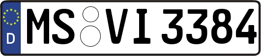 MS-VI3384