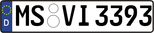 MS-VI3393