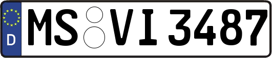 MS-VI3487