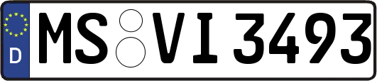 MS-VI3493
