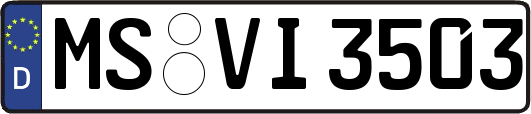 MS-VI3503