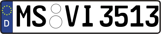 MS-VI3513