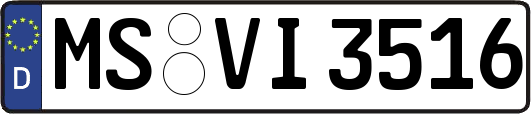 MS-VI3516