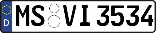 MS-VI3534