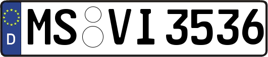 MS-VI3536