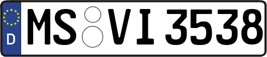 MS-VI3538