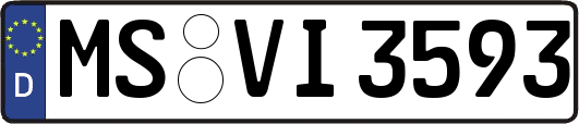 MS-VI3593