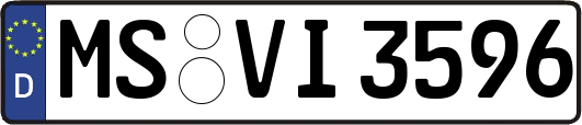 MS-VI3596