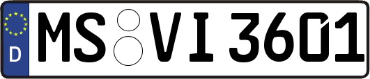 MS-VI3601