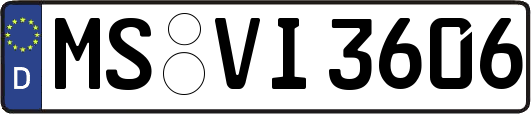 MS-VI3606