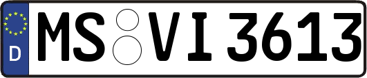 MS-VI3613