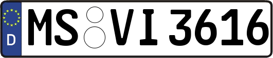 MS-VI3616
