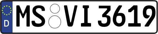 MS-VI3619