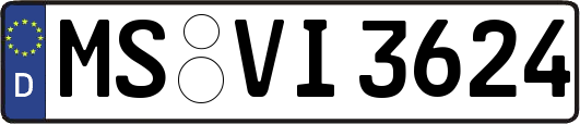 MS-VI3624