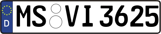 MS-VI3625