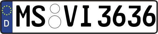 MS-VI3636