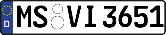 MS-VI3651