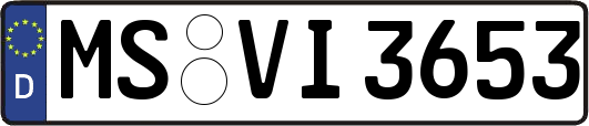 MS-VI3653