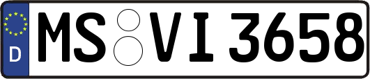 MS-VI3658