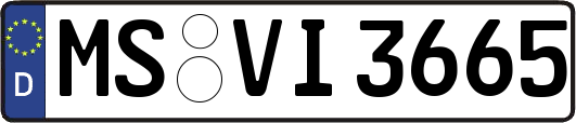 MS-VI3665