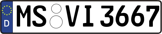 MS-VI3667