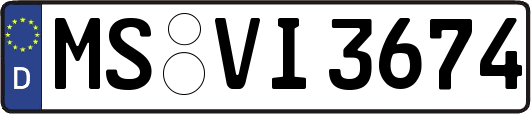 MS-VI3674