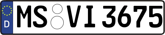 MS-VI3675