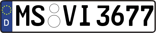 MS-VI3677