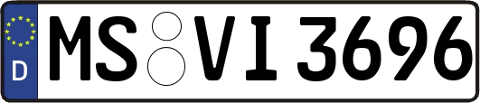 MS-VI3696