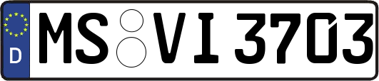 MS-VI3703