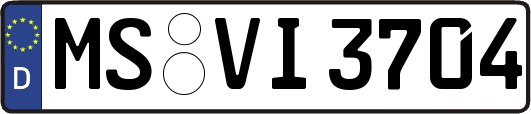 MS-VI3704