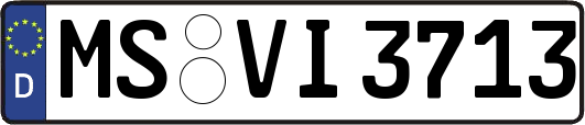 MS-VI3713