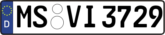 MS-VI3729